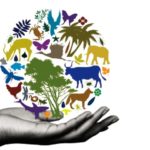 6.biodiversity