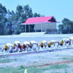 ChapsleeSports4617 (28)-001