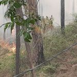 FireBalikaAshram010522b