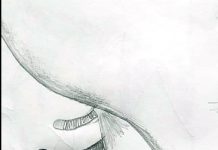 An Expression by Young Artist Kanishk Kumar