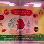 IMG-20240609-WA0006