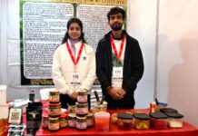 पान के पत्ते से बनी पहचान: महोबा की प्रेरक कहानी