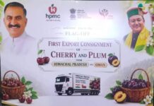 Himachal Horticulture Hits Global Market Milestone