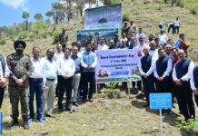 Chamiyana Leads Himachal World Environment Day Plantation Drive