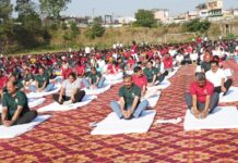 CM Sukhu Performs Yoga with Massive Gathering