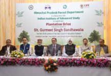 Shimla Launches Statewide Plantation Drive