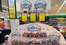 Himachal’s Orchard Economy Gets Global Boost