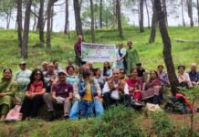 हरित हिमाचल की ओर भारत विकास परिषद की पहल