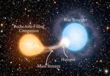Astronomers Catch Rare Blue Straggler Star Formation in Action