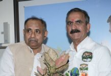 From Saplings to Forests: Himachal Rallies to Boost Green Cover to 32%