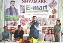 हिमाचल का नया दांव: ई-मार्ट से बदला ग्रामीण महिलाओं का भाग्य